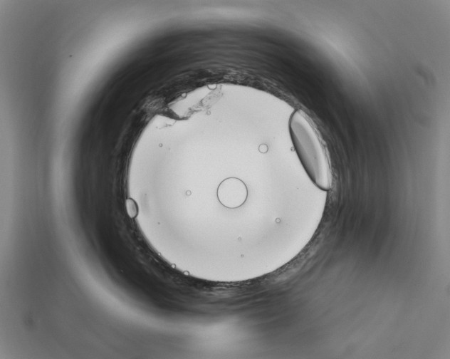 X0000111910766200909071156
