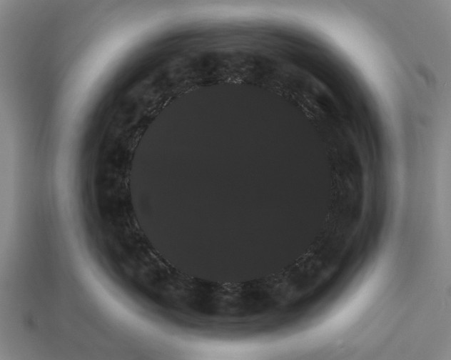 X0000111910767200909071156