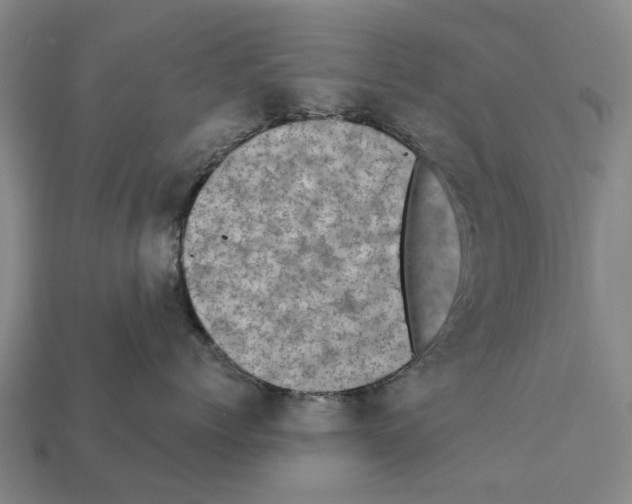 X0000111910768200909071156