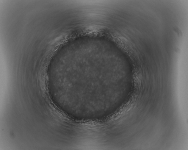 X0000111910769200909071156