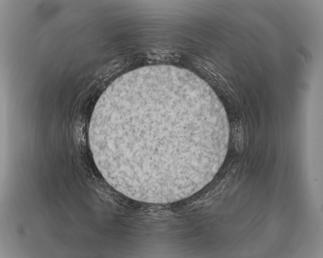 X0000111910770200909071156