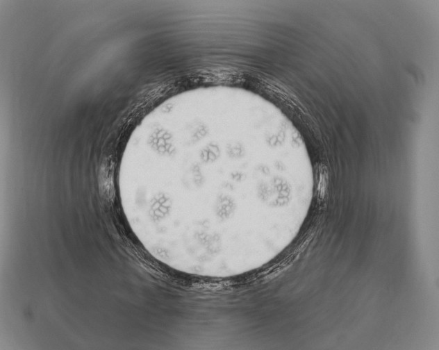 X0000111910771200909071156