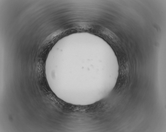 X0000111910773200909071156