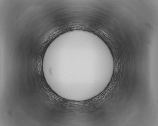 X0000111910774200909071156