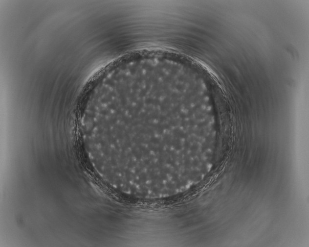 X0000111910775200909071156
