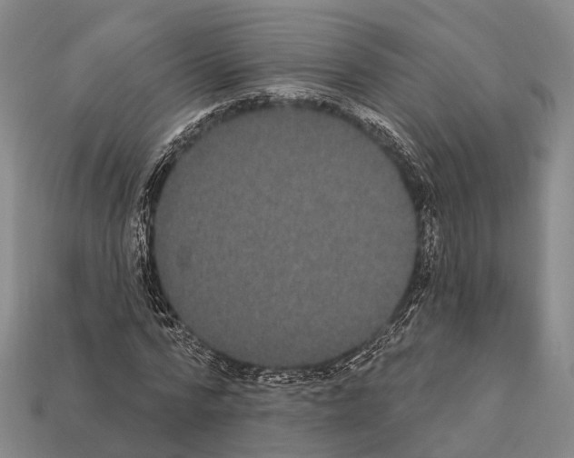 X0000111910776200909071156