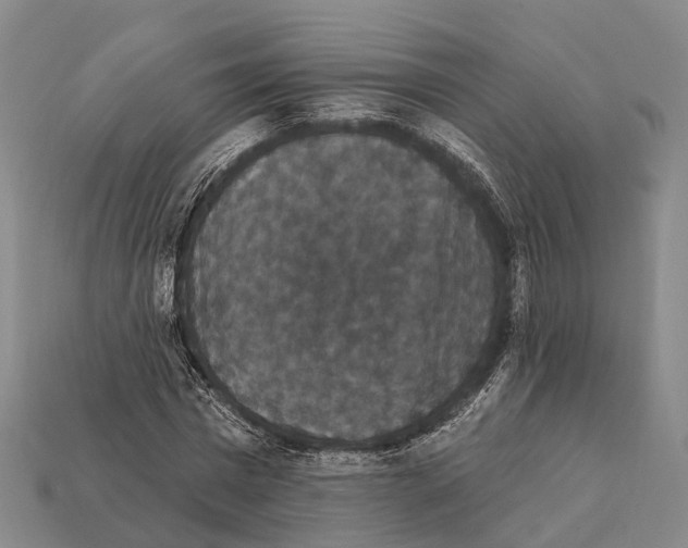 X0000111910777200909071156