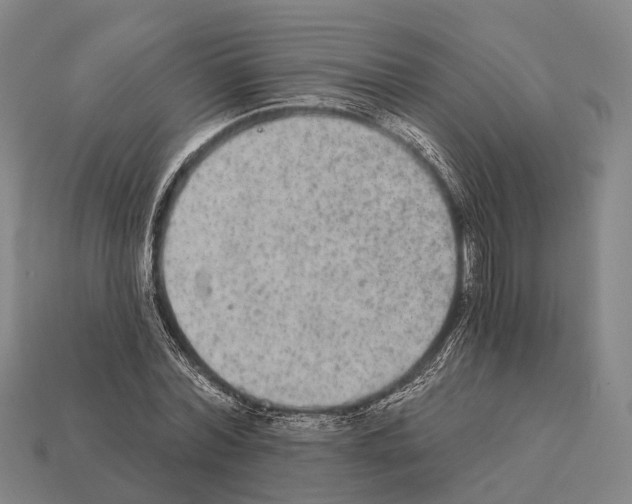 X0000111910780200909071155