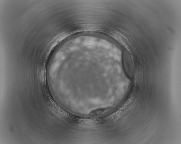 X0000111910781200909071155