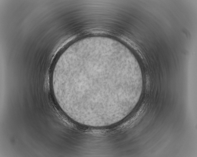X0000111910782200909071155