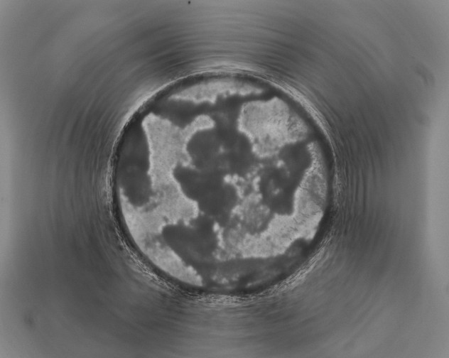 X0000111910783200909071155