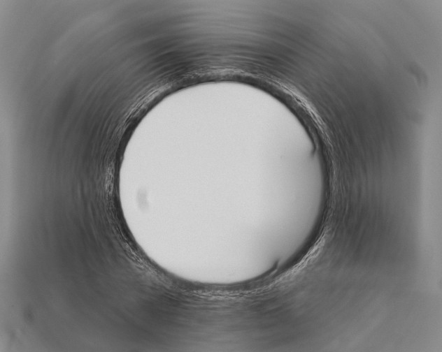 X0000111910785200909071155