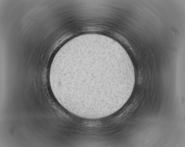 X0000111910786200909071155