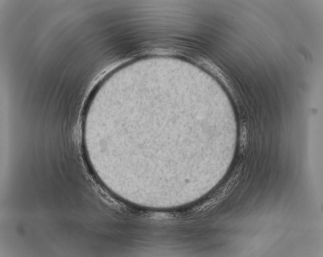 X0000111910787200909071155