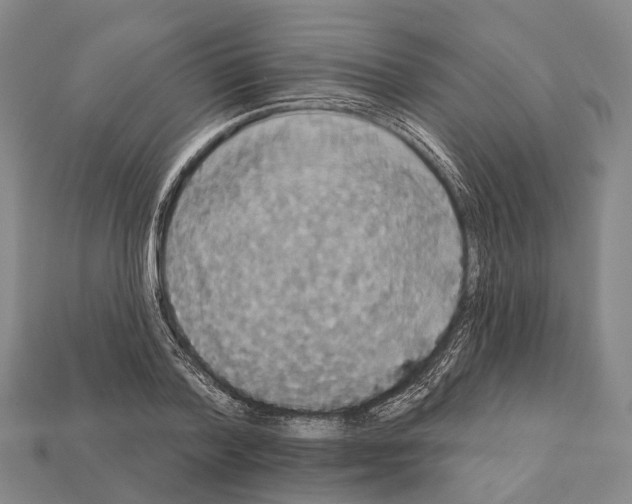 X0000111910788200909071155