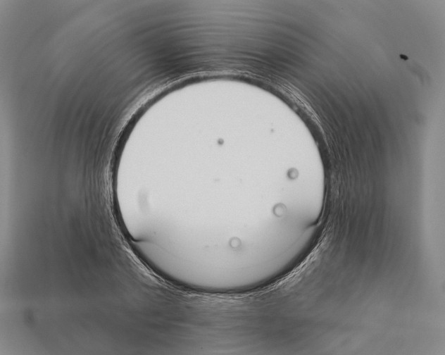 X0000111910789200909071155