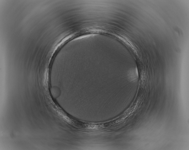 X0000111910790200909071155