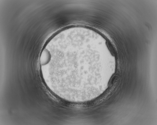X0000111910791200909071155