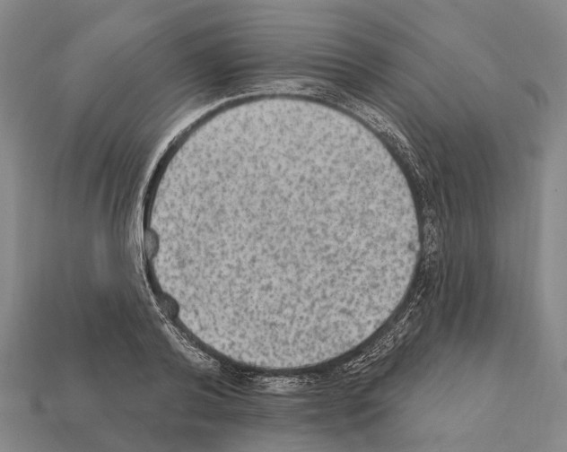 X0000111910792200909071155