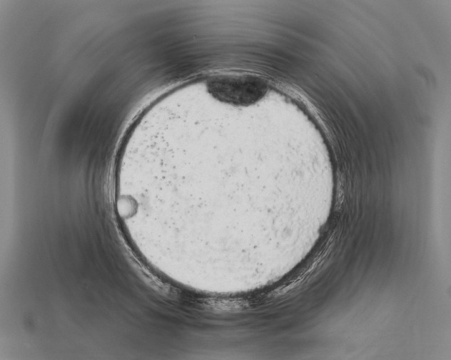 X0000111910795200909071155
