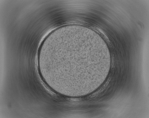 X0000111910796200909071155