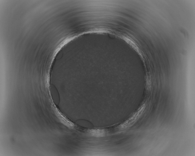 X0000111910797200909071155