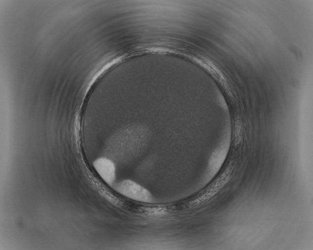 X0000111910798200909071155