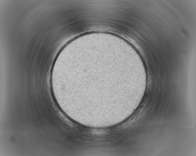 X0000111910799200909071155
