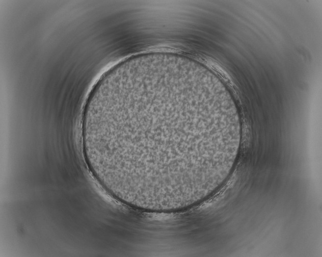 X0000111910800200909071155