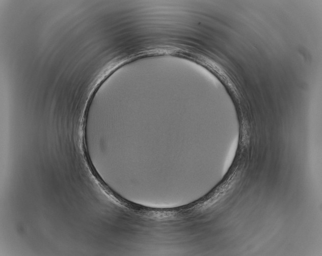 X0000111910802200909071155