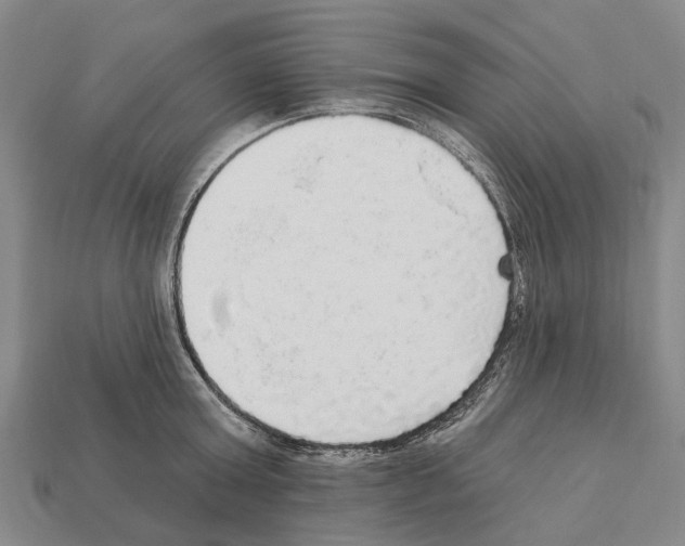 X0000111910803200909071155