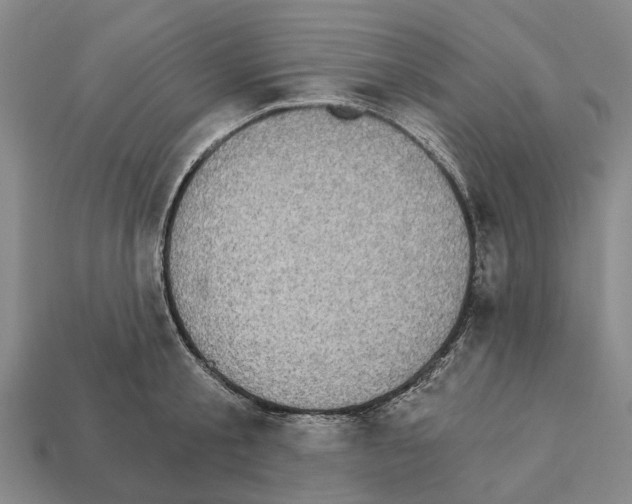 X0000111910805200909071155