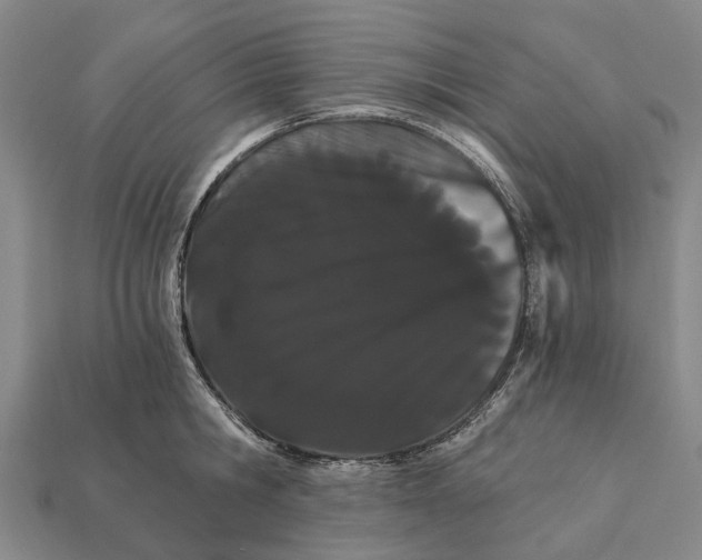X0000111910806200909071155