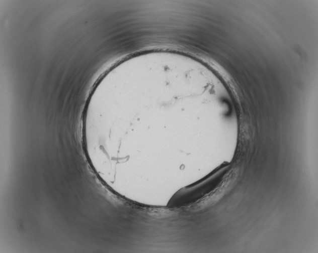 X0000111910807200909071155