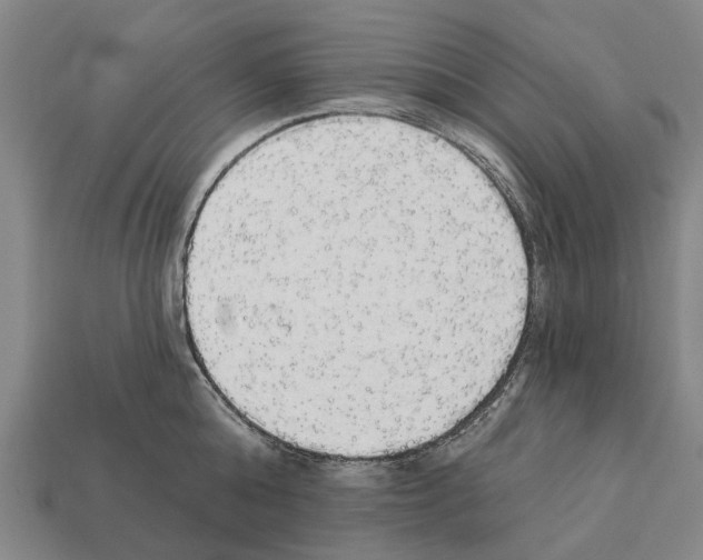 X0000111910808200909071155