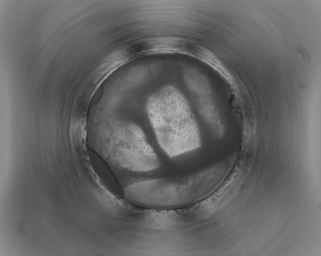 X0000111910809200909071155