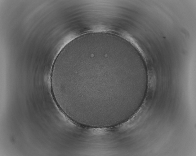 X0000111910810200909071155