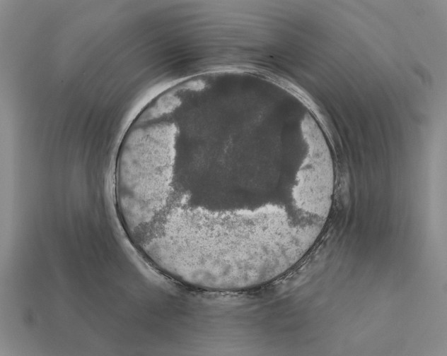 X0000111910811200909071155