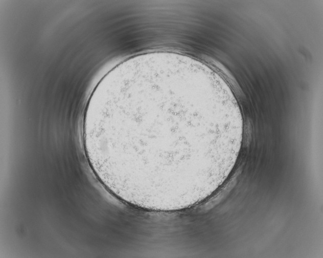 X0000111910812200909071155