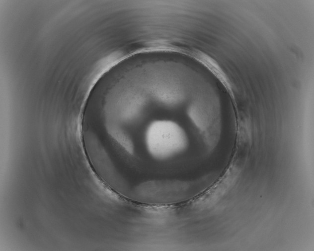 X0000111910813200909071155