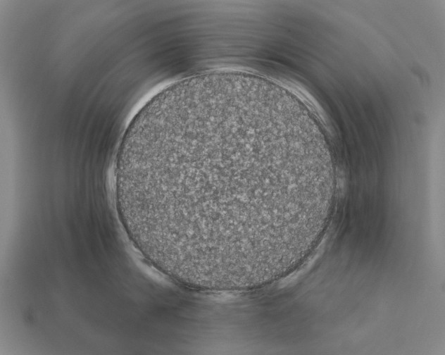 X0000111910814200909071155