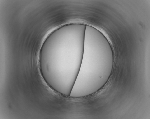 X0000111910815200909071155
