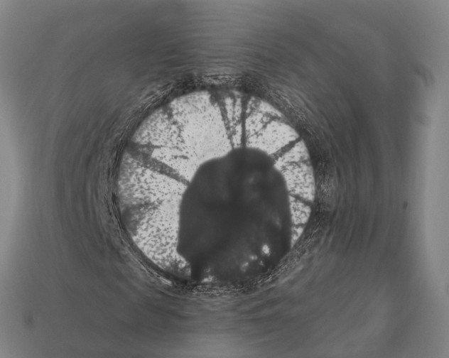 X0000111910817200909071154