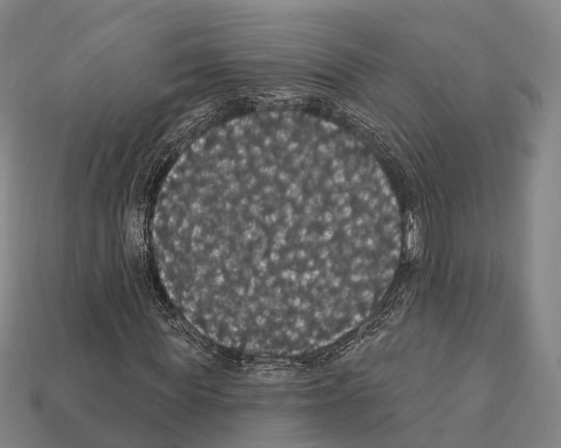 X0000111910819200909071154