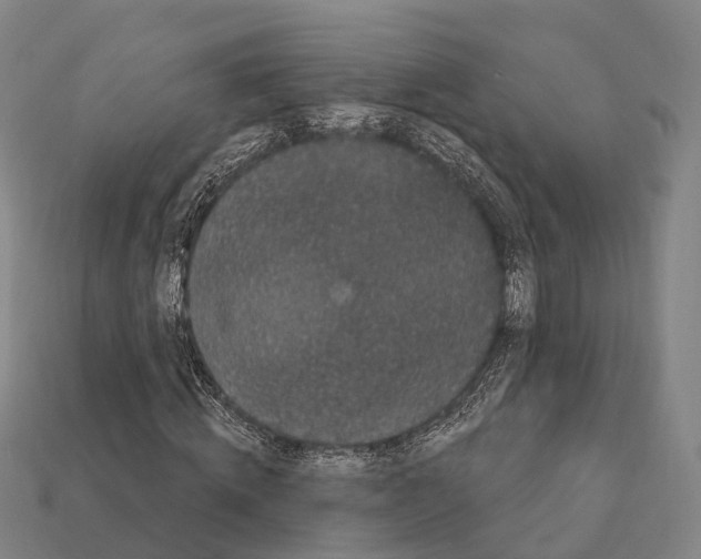X0000111910820200909071154