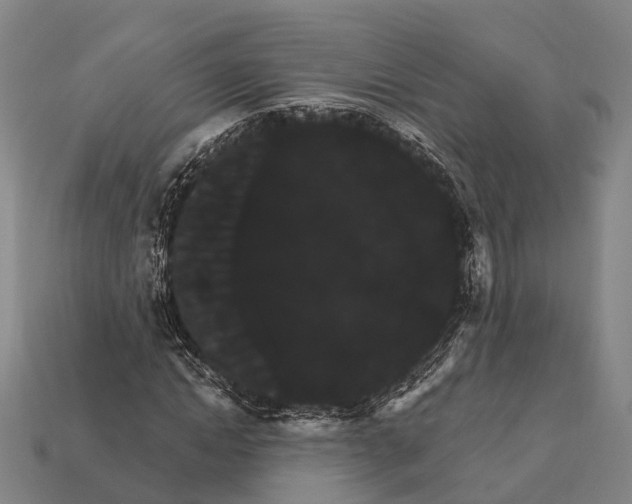 X0000111910822200909071154