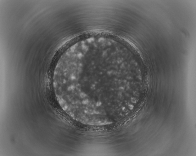 X0000111910823200909071154