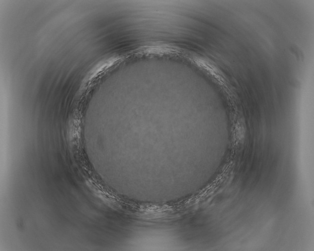 X0000111910824200909071154