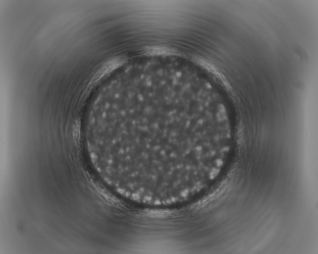 X0000111910825200909071154