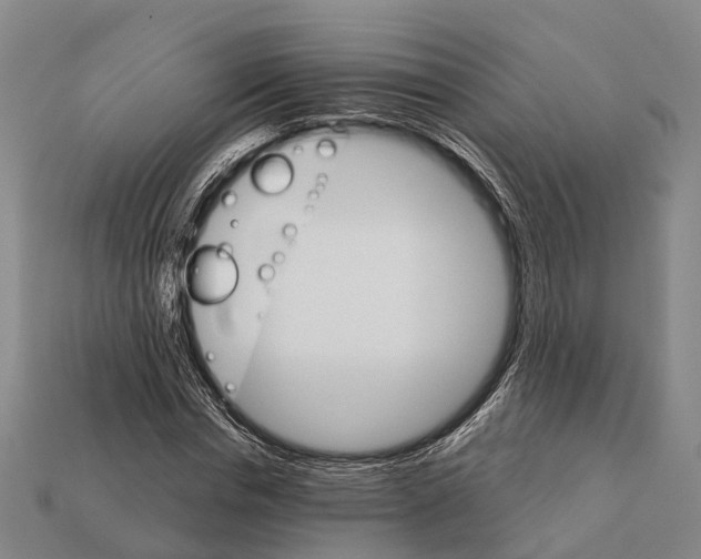 X0000111910826200909071155